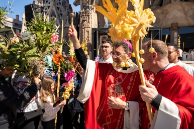 Missa de Rams a la Sagrada Família
