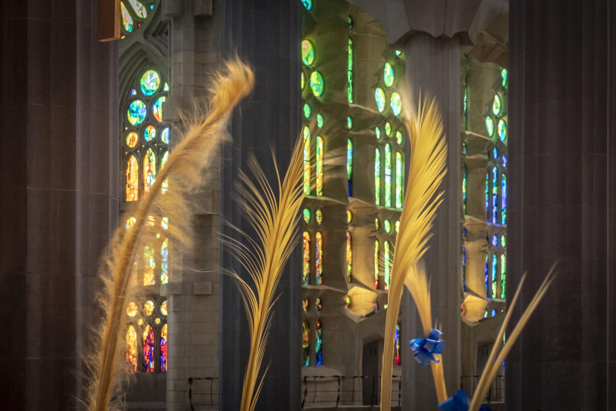 Diumenge de Rams a la Sagrada Família